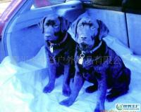 藍色PE編織布寵物墊 特性、價格與選購指南